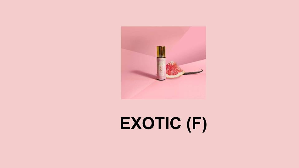 EXOTIC (F) - Jimmy Choo
