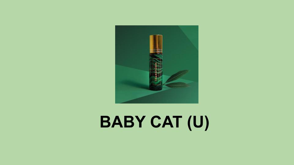 BABY CAT (U) - Yves Saint Laurent