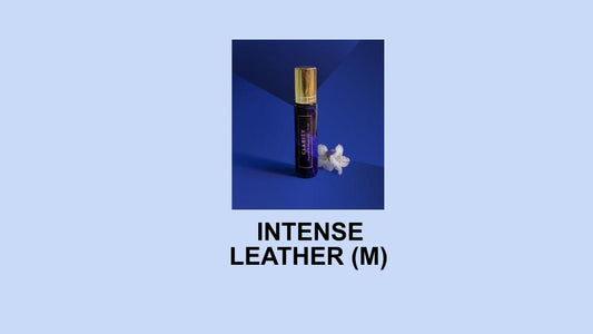 INTENSE LEATHER (M) - Salvatore Ferragamo