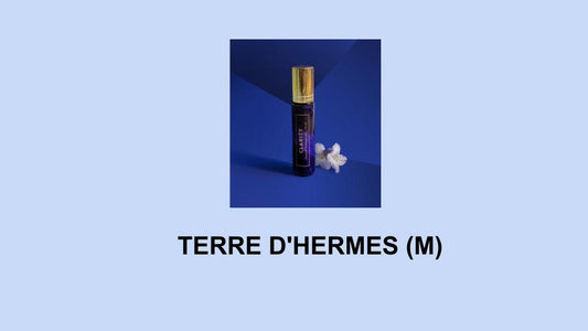 TERRE D'HERMES (M) - Hermes