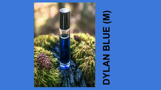 DYLAN BLUE (M) - Versace
