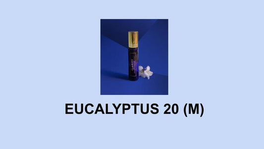 EUCALYPTUS 20 (M) - Le Labo