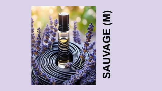 SAUVAGE (M) - Christian Dior